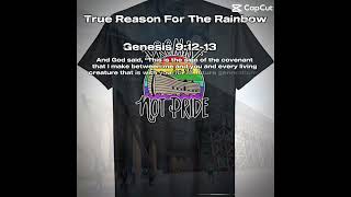 False Reason For The Rainbow Vs True Reason For The Rainbow bible christian trend trending [upl. by Demah908]