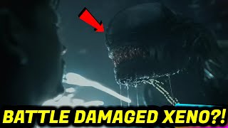 Alien Romulus BATTLE DAMAGED Xenomorph Revealed AMAZING Practical FX [upl. by Shantee336]