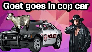 Goat goes in a cop car I talk about my Texas trip [upl. by Dat]