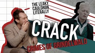 Crimes of Grindelwald  CRACK [upl. by Urita]