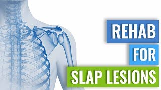 Rehab for SLAP Lesions [upl. by Aitas451]