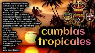 cumbias tropicales 🌴 vol2 [upl. by Eiramana900]