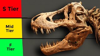 Ranking Dinosaur Fossils Tier List [upl. by Renae]