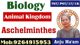 PHYLUM ASCHELMINTHES  ANIMAL KINGDOM  LTTGTPGT BIOLOGY  BY ANJU MAM [upl. by Auot930]