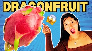 बाप रे‼️ Pehli बार खाया quotDRAGONFRUIT 😱🥵 l VLOG 230 l Jyoti Negi [upl. by Rimidalg]