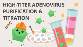 Hightiter Adenovirus and Titration [upl. by Animehliw]