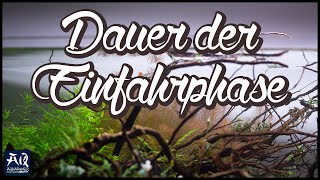 Wie lange dauert die Einfahrphase  AquaOwner [upl. by Lahcym908]