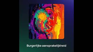 Burgerlijke aansprakelijkheid [upl. by Viradis]