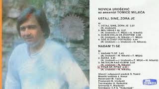 Novica Urosevic  Pitas se pitas  Audio 1985 [upl. by Clardy]