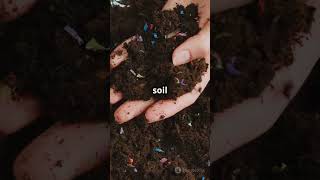 How to Tell If Your Soil is Killing Your Plants Simple DIY Tests [upl. by Hopfinger81]