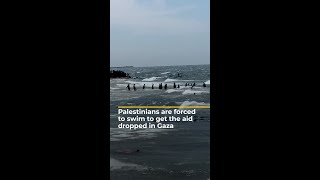 Palestinians are forced to swim to get the aid dropped in Gaza  AJ shorts [upl. by Ramu866]