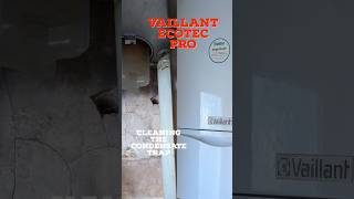 Vaillant EcoTec Pro Cleaning the condensate trap gas boiler service engineer gasengineer [upl. by Eisus81]