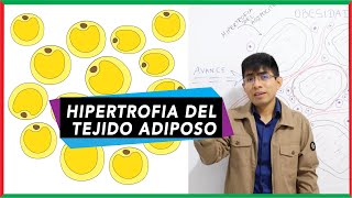 Hipertrofia del tejido adiposo  Obesidad e Inflamación [upl. by Naasah]