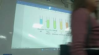 FISIOLOGIA FISIOPATOLOGIA  FASE 3  PRACTICA 02  01 [upl. by Ahsienauq]