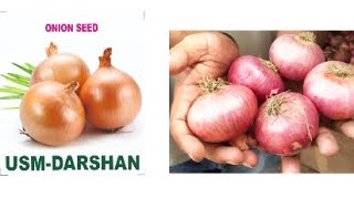 Onion Farming USM  DARSHAN  Unisem Agritech pvt Ltd [upl. by Eniac37]