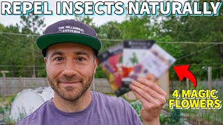 4 Flowers That REPEL INSECT PESTS Im Planting NOW And 1 To Avoid [upl. by Lam194]