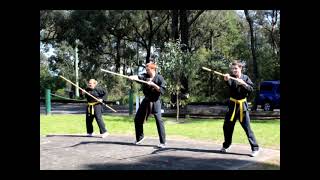 Kobudo Training [upl. by Enitsirt]