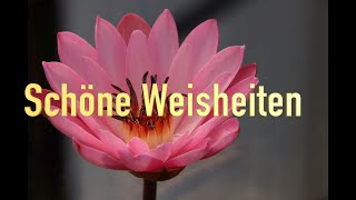 Schöne Weisheiten  Lebensweisheiten  Sprüche und Zitate [upl. by Kath]