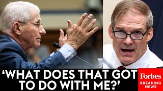 BREAKING NEWS Sparks Fly As Jim Jordan Ruthlessly Confronts Dr Fauci About LabLeak Theory [upl. by Ulyram]