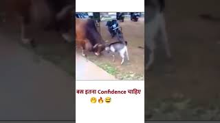 युद्ध ही तो वीर का प्रमाण है 🤜🏻🤛🏻funny confidence motivation [upl. by Netty]