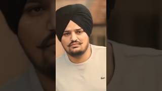 A Most Popular Video Sidhu Moose Wala Viral Short [upl. by Noirb]