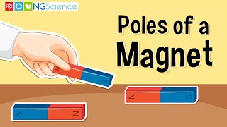 Poles of a Magnet [upl. by Nidroj]