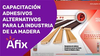 Capacitación Adhesivos Alternativos para la Industria de la Madera  Prense madera sin herramientas [upl. by Nattirb]