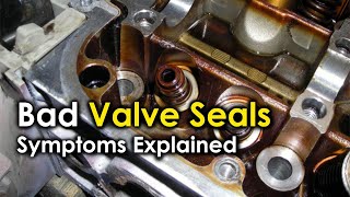 Bad Engine Valve Seals  Symptoms Explained  Signs of failing engine valve seals in your car [upl. by Ehsom]