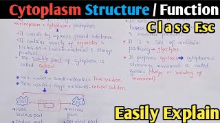 Cytoplasm Structure Functions And Composition  Cytosol  Class 11 Biology [upl. by Ellehcirt574]