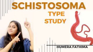 SCHISTOSOMA HAEMATOBIUM  TYPE STUDY BSc  Sem 1 Humera [upl. by Ramyar24]