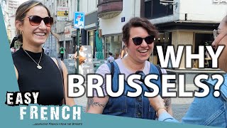 Why Do You Live in Brussels  Easy French 212 [upl. by Vally]