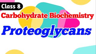 Proteoglycans  Carbohydrate Biochemistry Class 8 [upl. by Saretta]