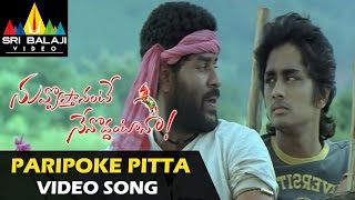 Nuvvostanante Nenoddantana Video Songs  Paripoke Pitta Video Song  Siddharth [upl. by Nonnel159]