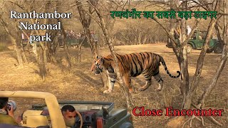 Ranthambore National Park tiger reserve 2023 [upl. by Iztim678]