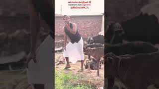 Sakina ki dairy part 8 comedy funny viral video [upl. by Nitnerb177]