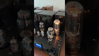 Willsenton R800i 300B 845 Amplifier trending youtubeshorts amplifier music [upl. by Doowle]