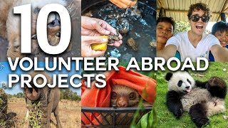 10 LIFE CHANGING VOLUNTEER ABROAD EXPERIENCES [upl. by Pat]