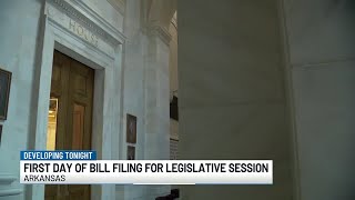 Day one of bill filing ahead of 2025 Ark legislative session [upl. by Caron]