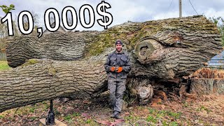 The 10000 Log That Shocked Us [upl. by Anitsirhc]