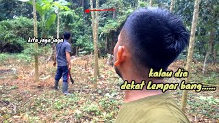 Menghalau perusak kebun  harus berani menghadapinya [upl. by Brenda871]