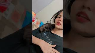 likh dega k jaani❤️ songs haryanvisong viralvideo roomate masti✨ [upl. by Lindo400]