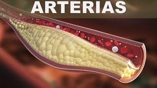 5 súper alimentos para las arterias y mantener el sistema circulatorio sano [upl. by Eardnaed]