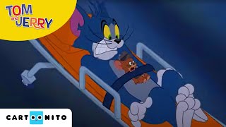 Tom and Jerry  De voedselinspectie  Cartoonito [upl. by Nitsud]