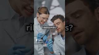 What Are Ribosomes Cells Protein Factories Explained biology facts cellbiology education [upl. by Merola]