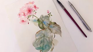 watercolor painting geranium [upl. by Marleah]