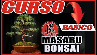 👉COMO HACER UN BONSAI 🌳 CURSO GRATIS PARA PRINCIPIANTES✔ Y MASCURSO COMPLETO💚 [upl. by Qifar]