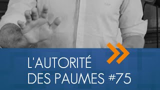 LAutorité des Paumes  1jour1geste 75 [upl. by Urien]