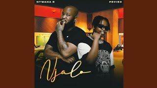 NtwanaR and PRVIS3  Njalo Official Audio [upl. by Latham]