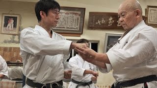 Shotokan karate meets Okinawan Karate【Tatsuya Naka】 [upl. by Noivad976]