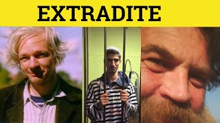 🔵 Extradite  Extradition  Extradite Meaning  Extradition Examples  Legal English [upl. by Omer352]